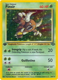 Pinsir (9)